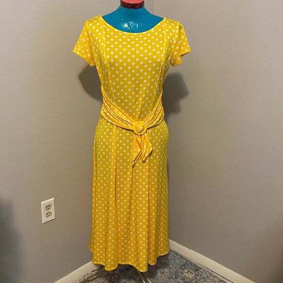 Chelsea Suite Scooped Neck Short Sleeve Polka Dot Womens Dress Size 10 - Picture 1 of 9